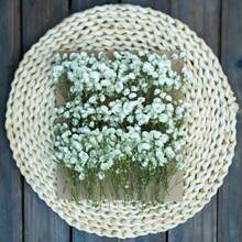 25/50/100/300pcs Artificial Mini Gypsophila - For Resin Mold Art And Crafts, Hair Accessories, Wedding Wreaths, Tabletop Flowers, Home Decor, Etc. - White Green - View 1