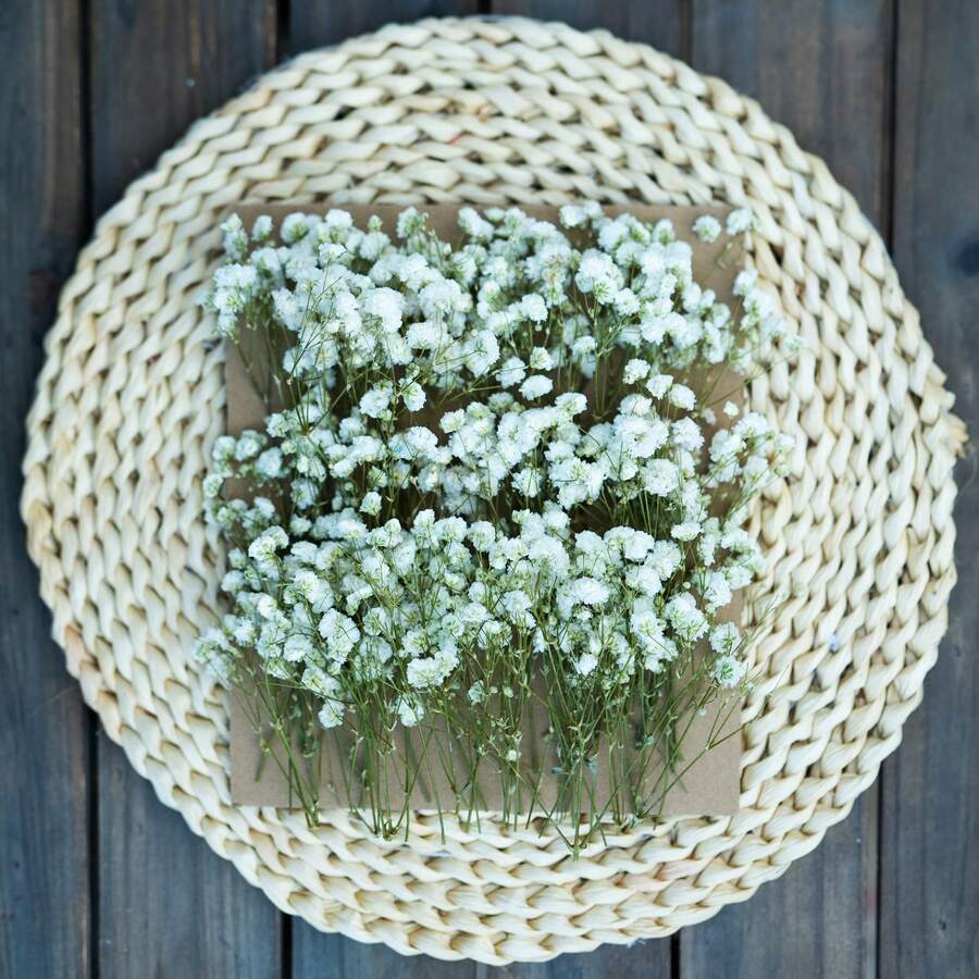 25/50/100/300pcs Artificial Mini Gypsophila - For Resin Mold Art And Crafts, Hair Accessories, Wedding Wreaths, Tabletop Flowers, Home Decor, Etc. - White Green - View 1