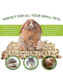 2pcs/1pc Handwoven Grass Mat, Suitable For Rabbits And Small Pets, Made Of Natural Dried Grass Material, Soft And Chewable, Comfortable Pet Bed And Play Mat, Ideal For Home Use, Rabbit Cage, Hamster, Guinea Pig, Perfect Gift For Pet Lovers - Multicolor - View 2