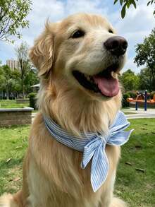 Écharpe rafraîchissante universelle pour animaux de compagnie, collier de cou pour chien et chat, serviette rafraîchissante, tour de cou rafraîchissant pour l'extérieur - Multicolore - Voir 5