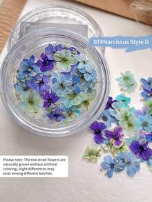 Decorações de Unhas com Flores Secas de Cores Mistas, Decoração de Arte de Unhas com Flores Pequenas Românticas Primavera/Verão 2026, Acessórios de Decoração DIY de Manicure com Flores Secas Reais, Encantos de Unhas - Multicolorido - Visão 14