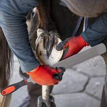 Professional 12-Piece Farrier And Hoof Care System |   High-Performance Labor-Saving Trimming Kit |   Industrial-Utility Equipment For Horses, Cattle, And Specialized Livestock Management - 12 Piece - View 6