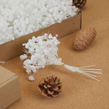 50/100/300pcs Artificial Mini Baby's Breath, Suitable For Wedding Floral Arrangement, Party Decoration, Birthday, Outdoor Garden Decor, Mother's Day Decor, Valentine's Day Decor, Gifts, Graduation Decoration - White - View 4