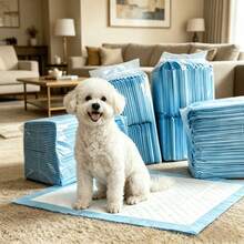 Upgraded All-Season Pet Pee Pads, Soft Breathable & Super Absorbent, Suitable For Indoor & Outdoor Use, Easy Solution For Pet Potty Training - 50 M-size Pet Pee Pads - View 5