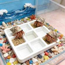 2个装多格心形方形螃蟹喂食饮水盘 | 浅型喂食盘，适用于蜥蜴、蝎子、蜘蛛、等足类动物、小螃蟹、青蛙和其他小型宠物，塑料材质，易于清洁，集喂食和饮水功能于一体 - 餵食碗 - 查看 5