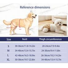 Cute Cartoon Dog Physiological Pants, Menstrual Pants For Female Dogs, Pet Underwear For Menstrual Period Protection - Beige - View 2