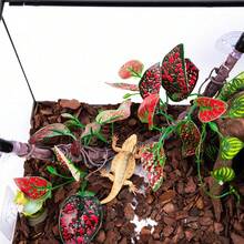 1pc/2pcs Realistic Glass Terrarium Plant Decor, Suitable For Amphibians, Lizards And Snakes Climbing. Resin Gecko Suction Cup Wall Decor, Reptile Branch, Reptile Climbing Decoration, Suitable For Snakes, Lizards, Bearded Dragons And Geckos. - Multicolor - View 8