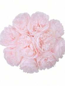5pcs Artificial Pink Peony Flowers, Silk-Like Peony Leaves, Light Pink Fake Flowers, Suitable For Wedding, Home, Office, Party, Window Sill Decor, Dining Table Centerpiece, DIY Bridal Bouquet, Arch Decor, Indoor & Outdoor Spring Floral Decor, Valentine's Day, Mother's Day, Anniversary Celebration Decor, Gift For Girls, Women, Mothers, Fathers - Pink - View 6