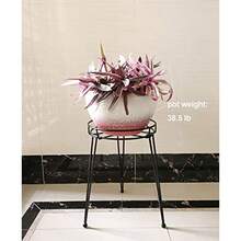 Midcentury Modern Metal Potted Plant Stand 18.7 Inch Tall Flower Pot Holder Large Rustproof Iron Garden Container Heavy Duty Rack for Planter, Black - 475 cm de alto, color negro. - Ver 6