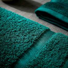 Kit 5 Toalhas de Rosto Ônix 100% Algodão 45x70cm Alta Absorção e Brilho Premium - rosa - Visão 6