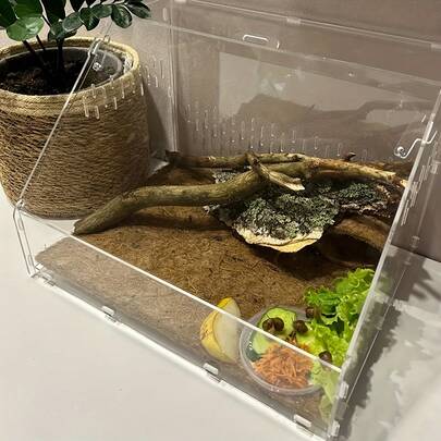 1pc Acrylic Reptile Habitat Box, Transparent Feeding Container For Turtles, Lizards, Praying Mantis And Other Pets