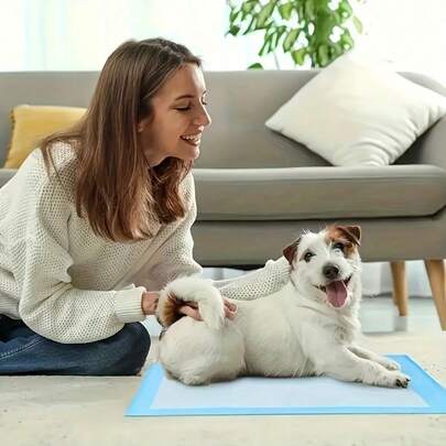 高性能一次性宠物训练垫——超强吸水、防漏、除臭；适用于犬猫