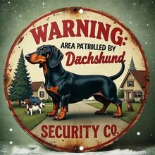 2D Flat - A Humorous Vintage Metal Sign Displaying A Dachshund Dog Security Patrol Warning, Stating "Dachshund Security Co. Patrol Area". This Heavy-Duty Wall Decor Is Suitable For Home, Garage, Office And Bar. (Random Hole Positions) - A - View 6