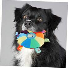 1 Pet Toy And 1 Pet Wan Combination Set  Slow Feeder Dog Bowls For Liquid Tread,Dog Lick Bowl For Bone Broth,Yogurt,And Wet Dog Food,Dog Licking Toy For Large, Medium, And Small Dogs. - 200ml - View 3