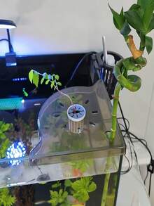 Corner Storage Rack For Home Aquarium, Can Hold Fish Food And Other Items, Clever Design Saves Living Room Space - A - View 7