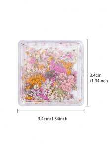 Decorações de Unhas com Flores Secas de Cores Mistas, Decoração de Arte de Unhas com Flores Pequenas Românticas Primavera/Verão 2026, Acessórios de Decoração DIY de Manicure com Flores Secas Reais, Encantos de Unhas - Multicolorido - Visão 7
