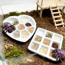 2个装多格心形方形螃蟹喂食饮水盘 | 浅型喂食盘，适用于蜥蜴、蝎子、蜘蛛、等足类动物、小螃蟹、青蛙和其他小型宠物，塑料材质，易于清洁，集喂食和饮水功能于一体 - 餵食碗 - 查看 8