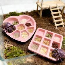 2个装多格心形方形螃蟹喂食饮水盘 | 浅型喂食盘，适用于蜥蜴、蝎子、蜘蛛、等足类动物、小螃蟹、青蛙和其他小型宠物，塑料材质，易于清洁，集喂食和饮水功能于一体 - 餵食碗 - 查看 1