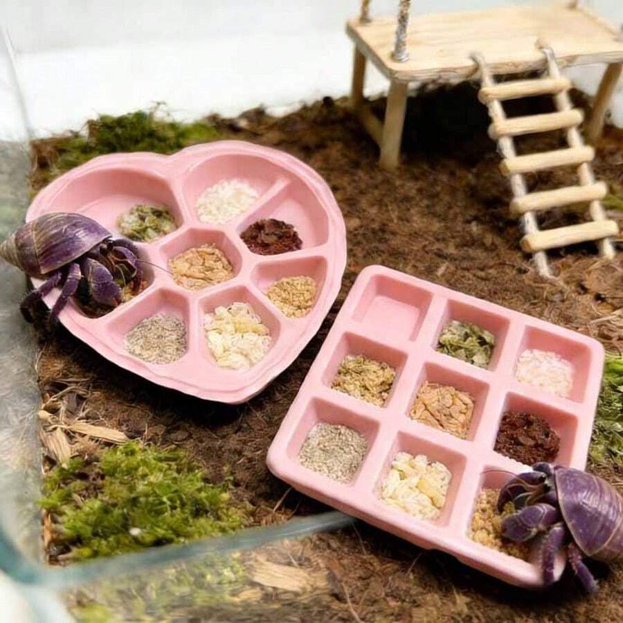 2个装多格心形方形螃蟹喂食饮水盘 | 浅型喂食盘,适用于蜥蜴、蝎子、蜘蛛、等足类动物、小螃蟹、青蛙和其他小型宠物,塑料材质,易于清洁,集喂食和饮水功能于一体 - 餵食碗 - 查看 1