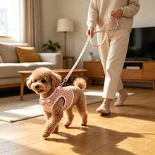 1 Bộ dây xích và đai cho chó, đồ dùng cho thú cưng, dây xích cho mèo - Hồng - Xem 4