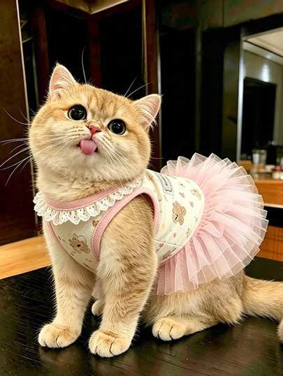 粉色蝴蝶蕾丝荷叶边公主风猫咪连衣裙，夏季款