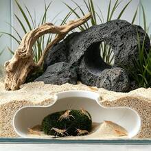 水族魚隧道躲避洞穴，適用於孔雀魚、鬥魚、長鬚鯰魚，自然弧形設計，安裝簡單，淡水與海水魚缸裝飾配件 - B - 查看 5