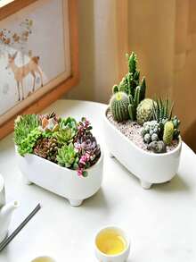 1個橢圓形花盆，室內種植盆，園藝盆，耐用塑料製成，適用於陽台、室內和花園。夏季必備，適合園藝愛好者、婚禮季節和畢業季節。裝飾飾品，桌面收納，萬聖節，聖誕節 - 多色 - 查看 4