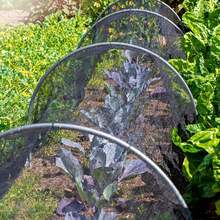 1pc Breathable Mesh Mosquito Net For Garden Terrace, Fine Mesh Effectively Blocks Mosquitoes And Insects, Provides Caring Protection For Plants - A - View 5