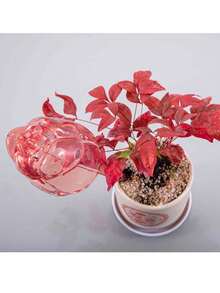 3 peças/Conjunto de Globos de Autorriego para Plantas, Dispositivo de Irrigação por Gotejamento Floral, Sistema de Rega Automática Slouchy, Irrigação por Gotejamento para Vasos, Adequado para Jardinagem Interna/Externa, Viagem, Varanda, Cultivo de Vegetais, Cuidados com Plantas Verdes, Presente de Jardinagem de Alta Qualidade para Amantes de Plantas - Tamanho único. - Visão 7
