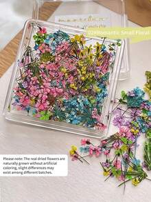 Decorações de Unhas com Flores Secas de Cores Mistas, Decoração de Arte de Unhas com Flores Pequenas Românticas Primavera/Verão 2026, Acessórios de Decoração DIY de Manicure com Flores Secas Reais, Encantos de Unhas - Multicolorido - Visão 15