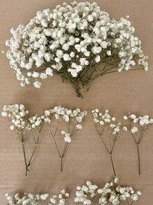Blanco Verde 3