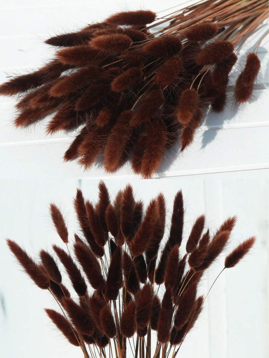 30~240支人造兔尾草,居家裝飾人造兔尾草莖,適用於波西米亞風花卉裝飾、DIY手工藝、居家廚房與婚禮裝飾、聖誕裝飾、感恩節裝飾、DIY花環裝飾 - 紅棕色兔尾草 - 查看 1