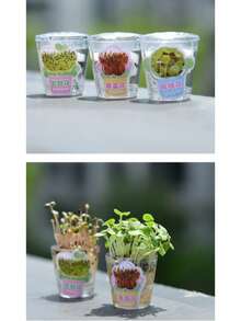 1pc DIY Planting Theme Gel Pen, 0.5mm Full Needle Tip Black Ink, Smooth Writing Without Smudging, Fresh Macaron Color-Block Design Barrel, Built-In Mini Plantable Pot Module On Top, Optional "Money Flower / Wealth Flower / Fortune Flower" Fun Seeds, Transparent Packaging With Ritual Feeling, Targeted At Students, Planner Enthusiasts, Creative Stationery Lovers - A - View 9