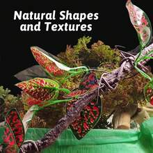 1pc/2pcs Realistic Glass Terrarium Plant Decor, Suitable For Amphibians, Lizards And Snakes Climbing. Resin Gecko Suction Cup Wall Decor, Reptile Branch, Reptile Climbing Decoration, Suitable For Snakes, Lizards, Bearded Dragons And Geckos. - Multicolor - View 2
