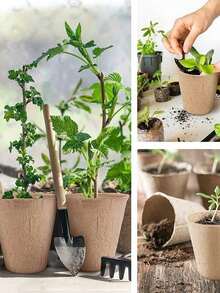 20/40/60 chiếc cốc ươm cây bằng bột giấy, chậu trồng cây con dùng một lần - A - Xem 8