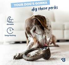Benebone Ring Durable Dog Chew Toy For Aggressive Chewers U2013 Limited Edition Blueberry Flavor, Medium - MàuB - Xem 3