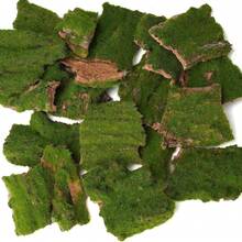 BYHER Assorted Artificial Moss Bark, Decorative Mossy Tree Bark For DIY Crafts, Fairy Gardens, Terrariums, Floral Arrangements (Realistic Green - 100gr) - ColorA - View 7