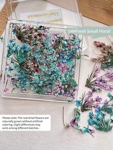 Decorações de Unhas com Flores Secas de Cores Mistas, Decoração de Arte de Unhas com Flores Pequenas Românticas Primavera/Verão 2026, Acessórios de Decoração DIY de Manicure com Flores Secas Reais, Encantos de Unhas - Multicolorido - Visão 17