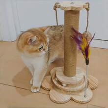 1件套坚固耐抓猫抓柱和逗猫棒玩具，28厘米大尺寸稳定底座，耐用剑麻绳，非常适合猫咪日常玩耍和磨爪。 - 46.5*28 - 查看 5