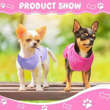 3 Piezas 1 Juego de Ropa de Verano para Mascotas (Adecuado para Perros y Gatos): Chalecos/Chaquetas/Pijamas Ligeros para Perros y Disfraces para Gatos ¡Que los Cachorros Felices Disfruten de sus Aventuras! Ropa para Mascotas Altamente Transpirable, Certificada por Mi Propio Perro - ¡Disfraces Lindos y Divertidos Diseñados para Cachorros, Gatos y Mascotas Felices! Disfraces para Perros, Disfraces para Gatos, Disfraces para Perras Hembra, Disfraces para Perros Macho, Ropa de Invierno para Perros Cálidos, Adecuada para Cachorros como Teddy, Chihuahua y Yorkshire Terrier. - Multicolor - Ver 3