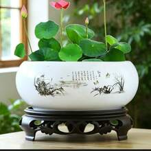 德州陶瓷水培花盆,铜钱草、荷花、金钱草、睡莲、巴西木多肉植物大花盆装饰 - 銅錢花盆 - 查看 4