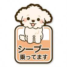 Assorted Stickers - שיפוּ - ראה 4
