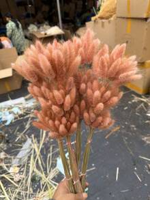 30-240支 44cm 人造兔尾草，家居裝飾人造兔尾草莖，適用於波希米亞風格花藝布置、DIY手工藝、居家廚房與婚禮裝飾、聖誕裝飾、感恩節裝飾、DIY花環裝飾 - 淺紅棕兔尾草 - 查看 2