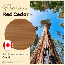 Professional Ergonomic S-Shape Thermal Logistics System |   High-Performance Canadian Red Cedar Deployment Station |   Industrial-Structural Back Support With Integrated Airflow Architecture And High-Stability Anti-Slip Platform - 1 - View 5