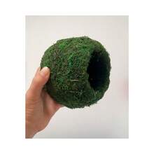 Grotte de mousse, grotte de mousse artificielle verte, cachette pour animaux de compagnie reptiles grenouilles et serpents, décoration pour terrarium et vivarium, décoration de terrarium pour gecko (vert forêt) - Vert - Voir 15