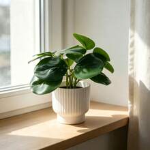 Artificial Pilea Plant In Pot, Faux Green Indoor Plant For Modern Home Office Decor Scandinavian Faux Green Plant, Artificial Pilea Decor For Farmhouse Shelf Coffee Table Styling - Green - View 1