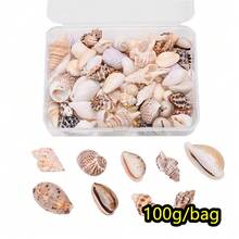 100g Manik-Manik Kerang Gaya Bohemian, Perhiasan Kerang Alami untuk Membuat Anting dan Gelang, Aksesoris Dekorasi Pantai - Set cangkang - View 14