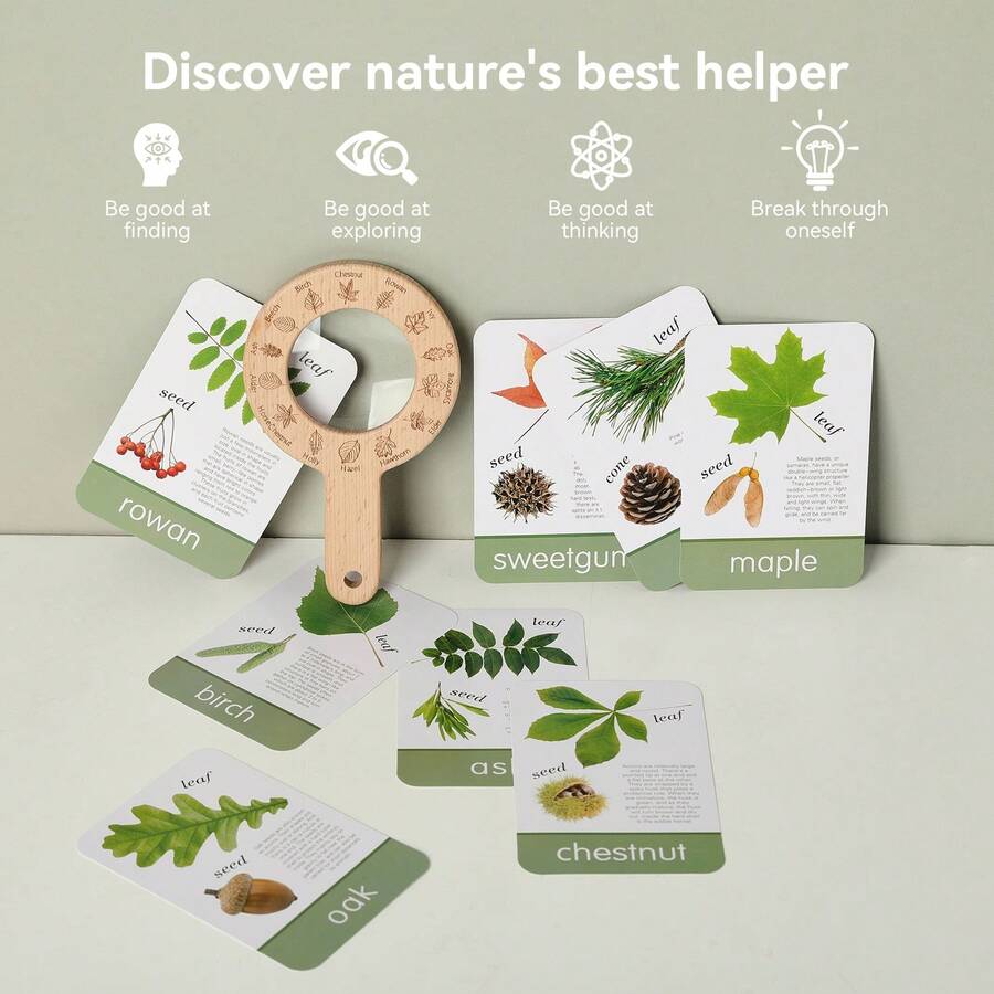 Nature Exploration Set - Magnifier Observation, Plant Identification, Outdoor Nature Observation Toy, Cultivate Scientific Thinking, Park Exploration Set