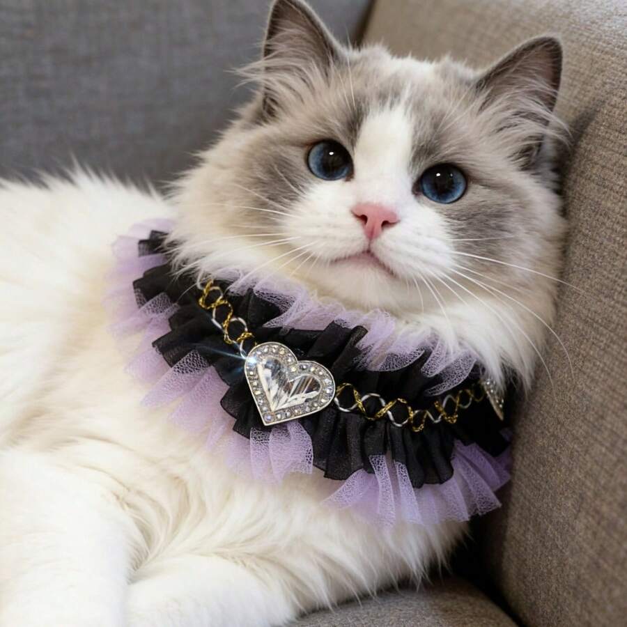 Sparkling Rhinestone Heart Cat & Dog Necklace Adjustable Crystal Pet Jewelry Dark Princess Lace Cat & Dog Collar Black Lace Cat & Dog Scarf - Black - View 1