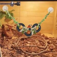 Spider Climbing Toy With Suction Cup, Hermit Crab Habitat Decor, Spider Climbing Rope Ladder, Spider Climbing Ladder, Classic Design For Creating Vivid Habitats, Amphibian Habitat Decor | Natural Rope Ladder | Durable Rope Ladder, Reptile Habitat Decor, Suitable For Reptiles, Hermit Crabs, Lizards And Other Small Animals - View 1